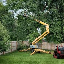 Best Soil Testing and Treatment  in Cresskill, NJ