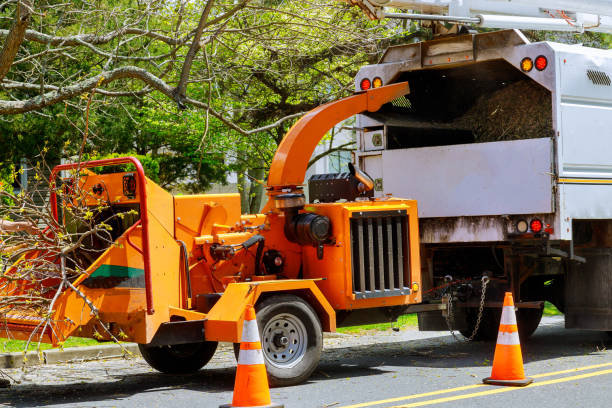 Best Landscape Design and Installation  in Cresskill, NJ